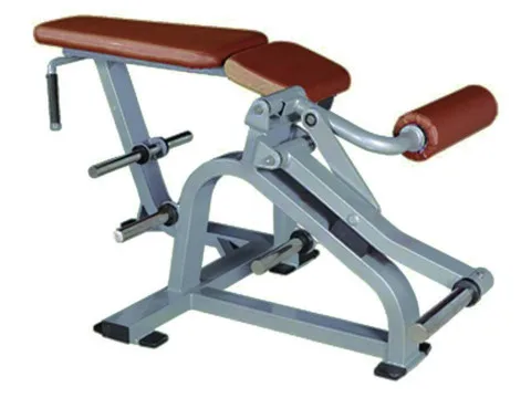 Сгибание ног лежа UltraGym UG-ST 857