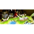 Интерактивная песочница Sandbox два в одном умный стол