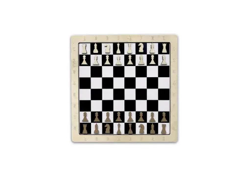 Настенная игра «2 в 1 шашки + шахматы»