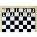 Настенная игра «2 в 1 шашки + шахматы»