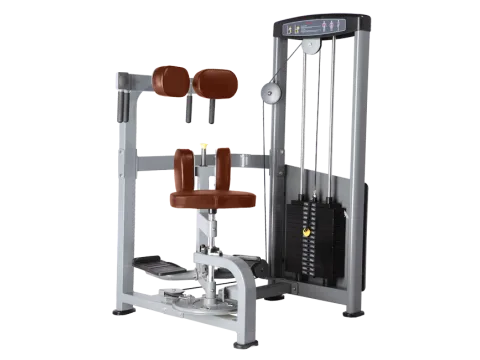 BRONZE GYM D-011 Торс-машина (КОРИЧНЕВЫЙ)