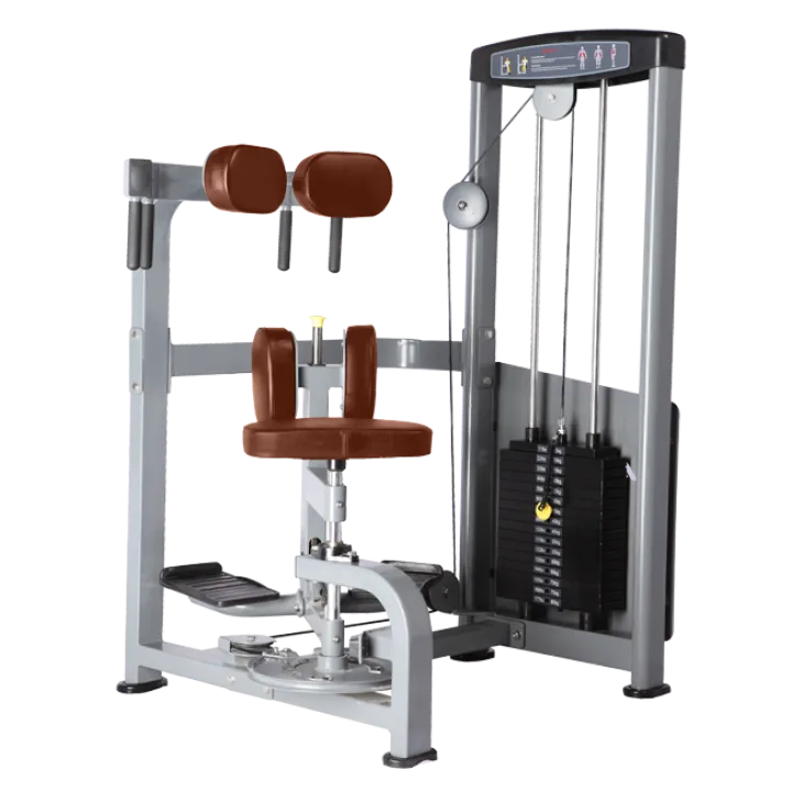 BRONZE GYM D-011 Торс-машина (КОРИЧНЕВЫЙ)
