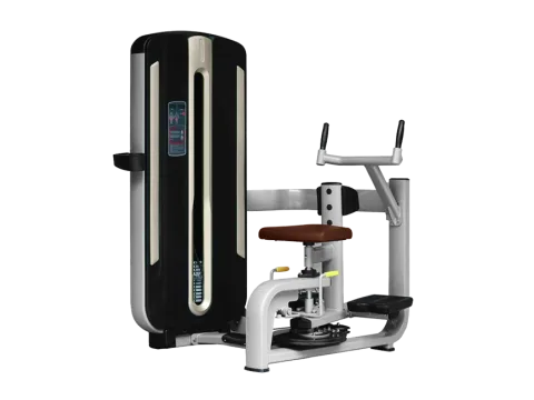 BRONZE GYM MNM-011 Торс-машина