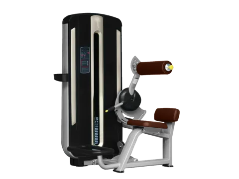 BRONZE GYM MNM-009 Разгибание спины