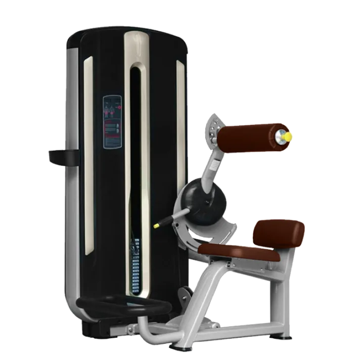 BRONZE GYM MNM-009 Разгибание спины