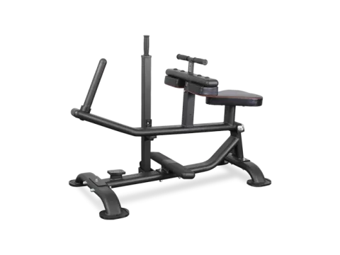 BRONZE GYM PL-1719 Голень сидя
