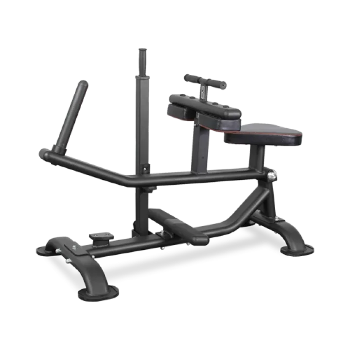 BRONZE GYM PL-1719 Голень сидя