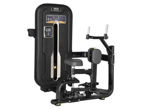 BRONZE GYM MZM-011 Торс-машина