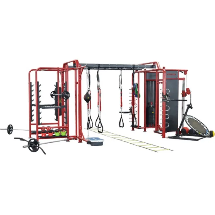 Crossfit- X5 Профессиональный комплекс для функциональных тренировок. TS-PL5