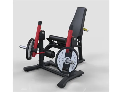 GLT PL10 Разгибание ног
